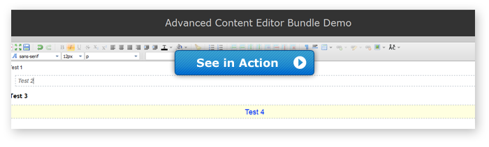 Advanced Content Editor Bundle Demo