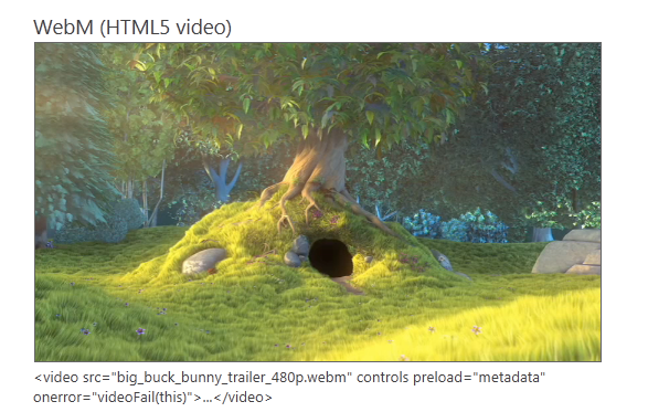 HTML5 webm