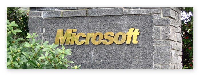 Microsoft Company